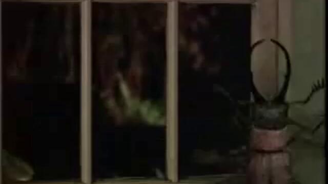 Insecticidal.mp4