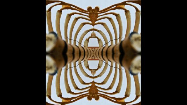 Remastered : 2023 : Full Album 👉 Remix 👈 : Sammy SlamDance - ( Band ) " Fear in Fiction " Album / 🎵