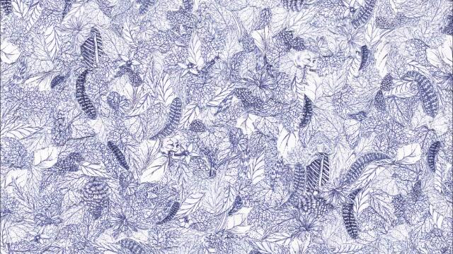 Pax Indigo - It Rained Blue