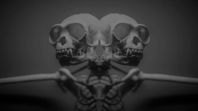 Full EP 👉 Remix 👈 : Death of a Deity - ( Band ) " Death Dealer " EP / Death Metal Music 🎵 \ 2021