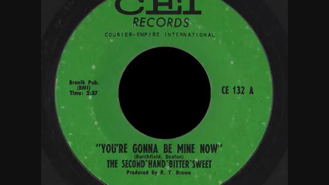 The Second-Hand Bittersweet: Please don't go
