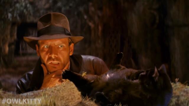Indiana Jones with My Cat (Behind the Scenes)