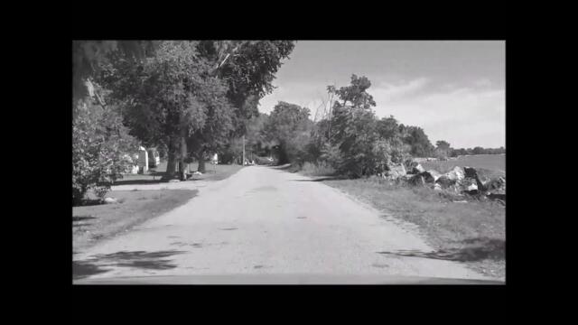 Merle Haggard's [Are the good times really over] (Country) 1981