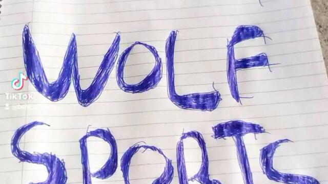 VID_39621104_050434_787