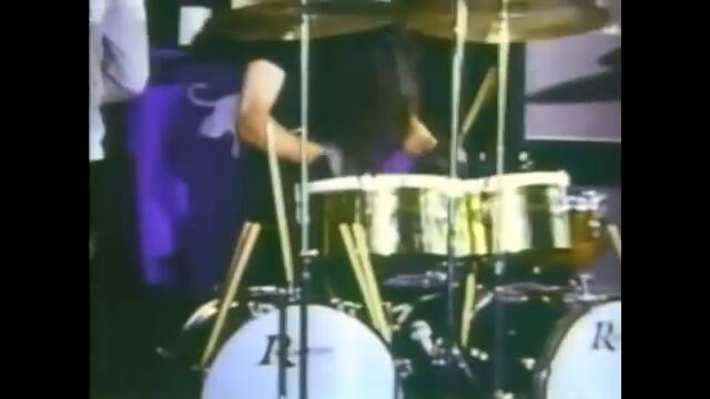 The Stooges - I wanna be your dog (1969)