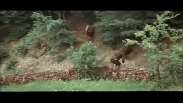 Сурнене- крадене на мома - Мъжки времена