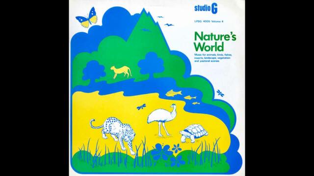 James Harpham - Flower Garden [UK] Library, Lo-Fi Ambient, Funk, Fusion (1982)