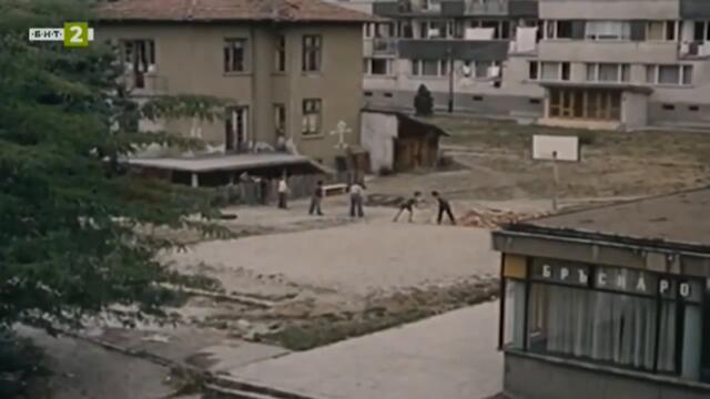 Труда е превърнал маймуната в човек или втория тормоз на оня с клепналите уши - Войната на таралежите