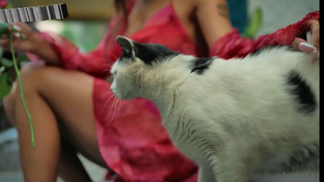 Ανδρομάχη - Παραπονάκι Μου - оплакване мое