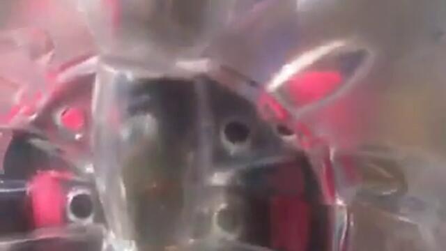 Smile_Dk_butterfly_toyvia_torchbrowser.com_-_Vbox7[via_torchbrowser.com]_-_Videoclip.bg[via_torchbrowser.com].mp4