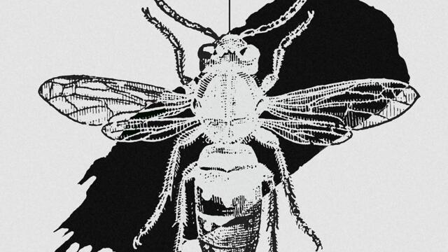 Я буду твоим солнцем