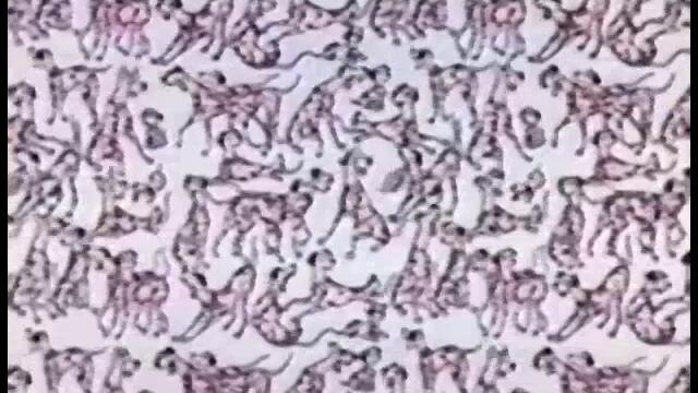 101 Dalmatians Part 1