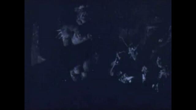 elkbird - no safety smoking first