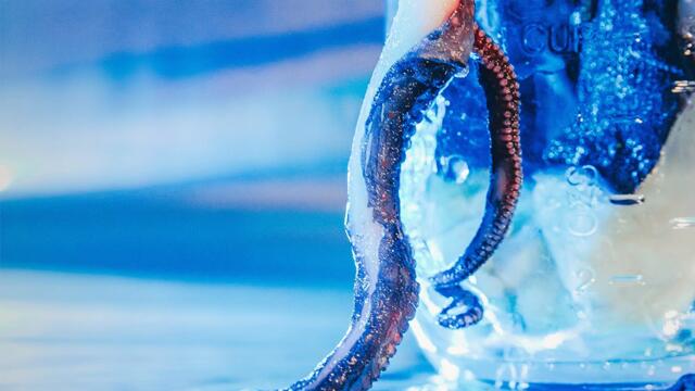 Antighost - "27" [Official Audio]