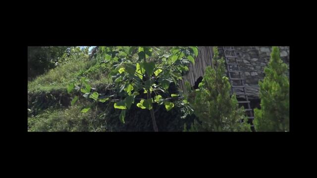 Каменните къщи край Луковит