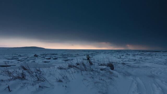 Klô Pelgag - Rémora (Lyric vidéo officiel)