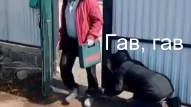 Гав, гав Видео приколы смотреть онлайн бесплатно