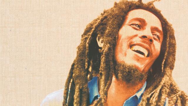 Lively up Yourself (Bombay Dub Orchestra Remix)