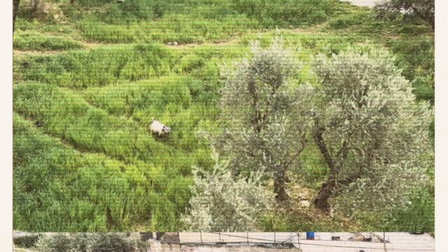 377 - 70s Desert (Future - Move That Dope ft. Pharrell Williams, Pusha T Remix)