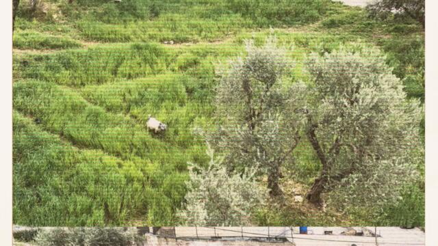 377 - Disquo! (JAY Z & Kanye West - Otis Remix)