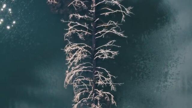 The Karpathians ембіент музика ambient music