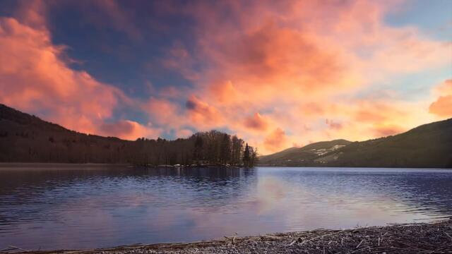 Bend the Future - Muş