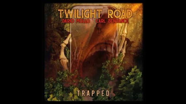 Twilight Road - Perfect Strangers \ Deep Pupple cover \