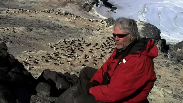 Nihilist Penguin (Werner Herzog)