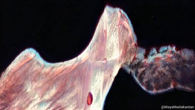 10000 Days - TOOL Guitar Cover - This Became Too Personal For Me! - Wings Part 2