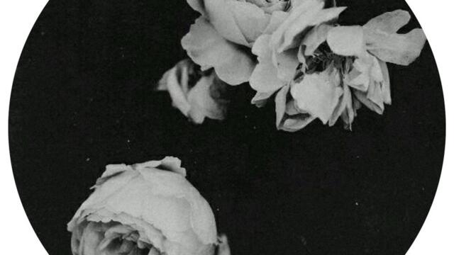 Dare To Struggle Dare To Win (HDSN Remix)