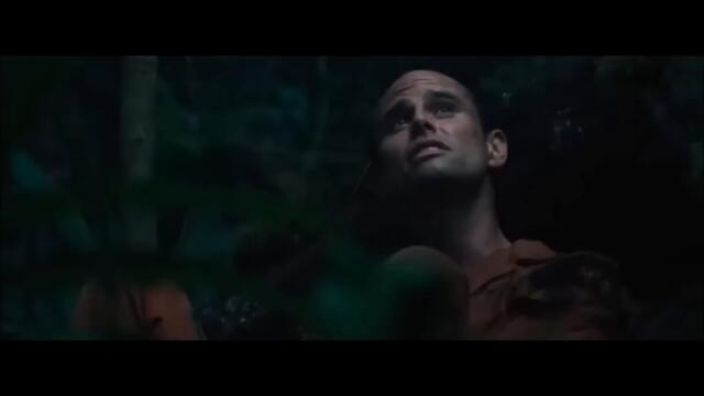 Predators cocaine & bitches