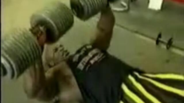 Способен e да убие лъв с голи ръце - Vbox7[via torchbrowser.com]