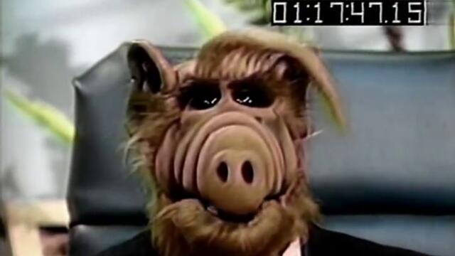Alf TV Show Season 1 Outtake Reel