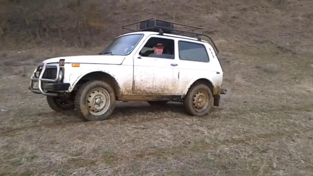 niva nofrond[via torchbrowser.com]