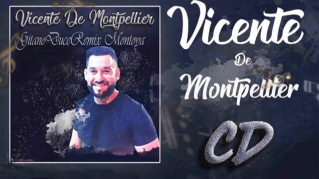 vicente #flamenco #bulerias #shorts #song #music #musica #folk #gipsy #songs #camaron #francia