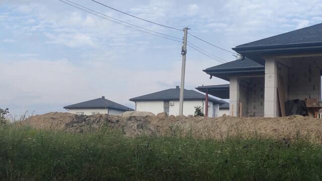 Pica 🐧 #Pica or #Magpies #Birds 🐦 - Wild #Animals Life 4k Video. Птица 🐥 Сорока -  Животные Украины