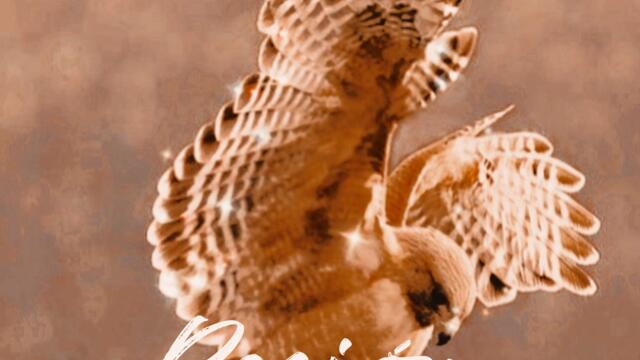 Rosario Montes - Fiera Inquieta / Pop (Audio)