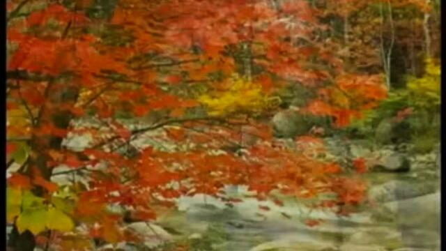 ИЗЛЯЗЛА Е МАЛКА МОМА И НЕВЕНО МОМЕ - Дуо Сладко Медено