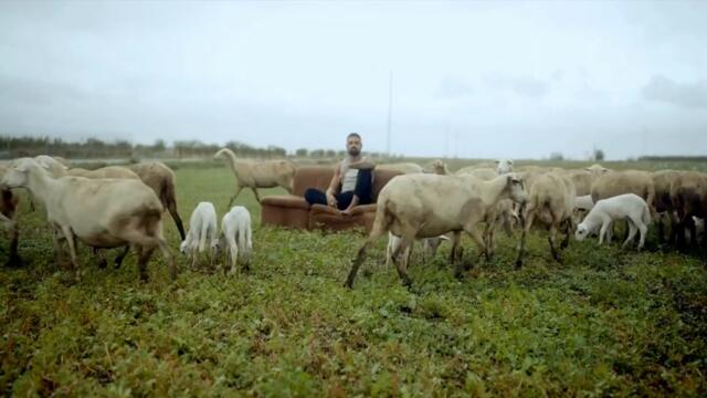 rebujitos nuevo tema en su canal #music #songs #musica #youtubeshorts #shorts #youtube