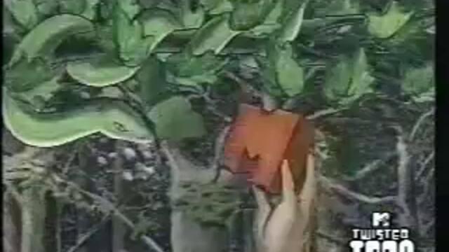 Mtv Ident Adam Evevia torchbrowser.com - Vbox7[via torchbrowser.com]