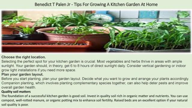 Benedict T Palen Jr - Tips For Growing A Kitchen Garden At Home