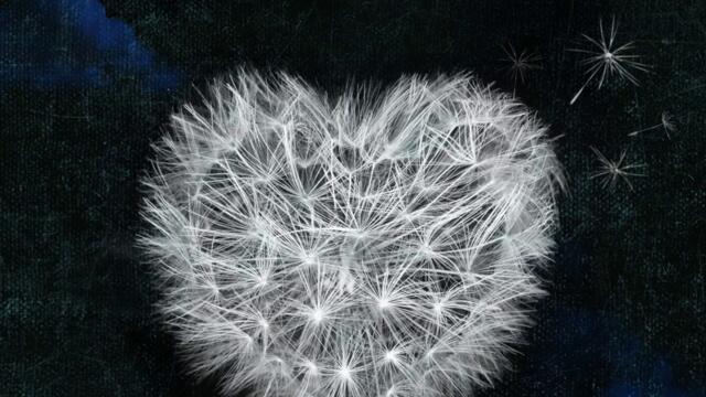 Kolpa ft. Ece Seckin - Hos Geldin Ayriliga (Audio)