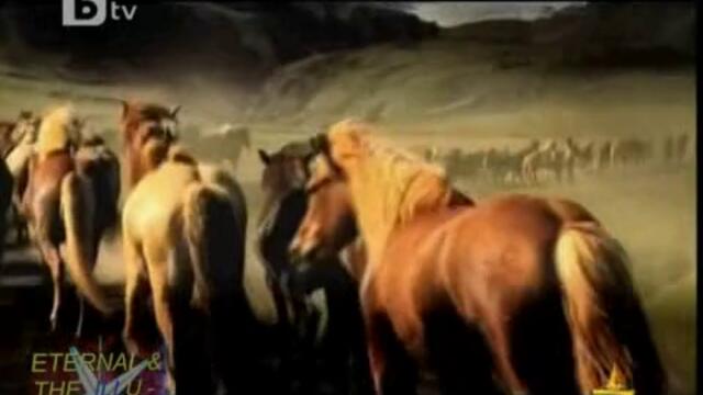 Reklamen gaf Gospodari na efira - Vbox7[via torchbrowser.com]