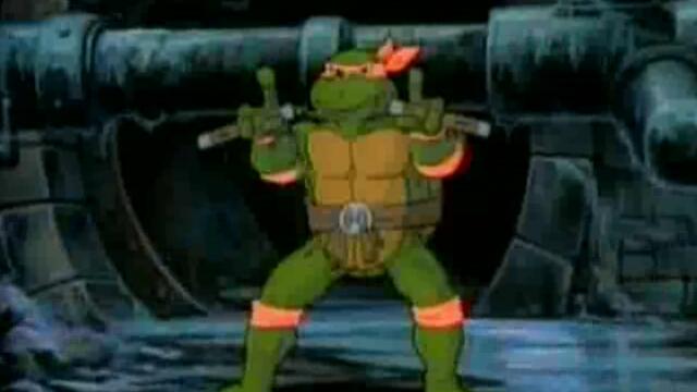 02 - Turtles On Trial