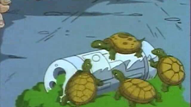 14 - Polly Wanna Pizza