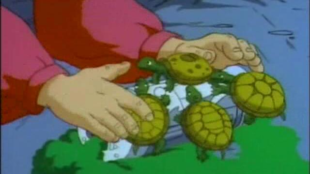 14 - Night of the Dark Turtle