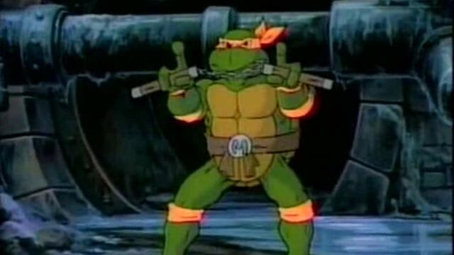 10 - Turtles on the Orient Express