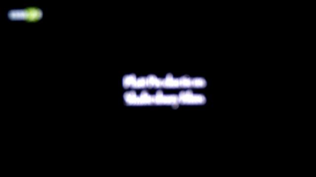 Буки и Дядо Коледа (синхронен екип, дублаж по БНТ 1 на 24.12.2018 г.) (запис)