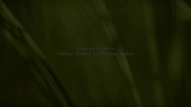 Minuscule.S02E02.2012.DVDRIP.XVID.Homeless