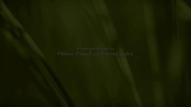 Minuscule.S02E03.2012.DVDRIP.XVID.Bzzapping